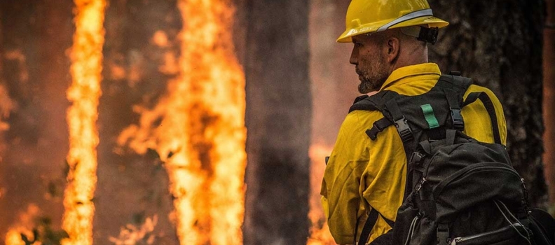 Reduce the Risk of Wildfire